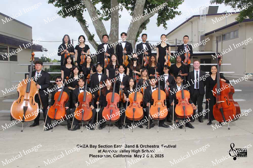 Musical Images